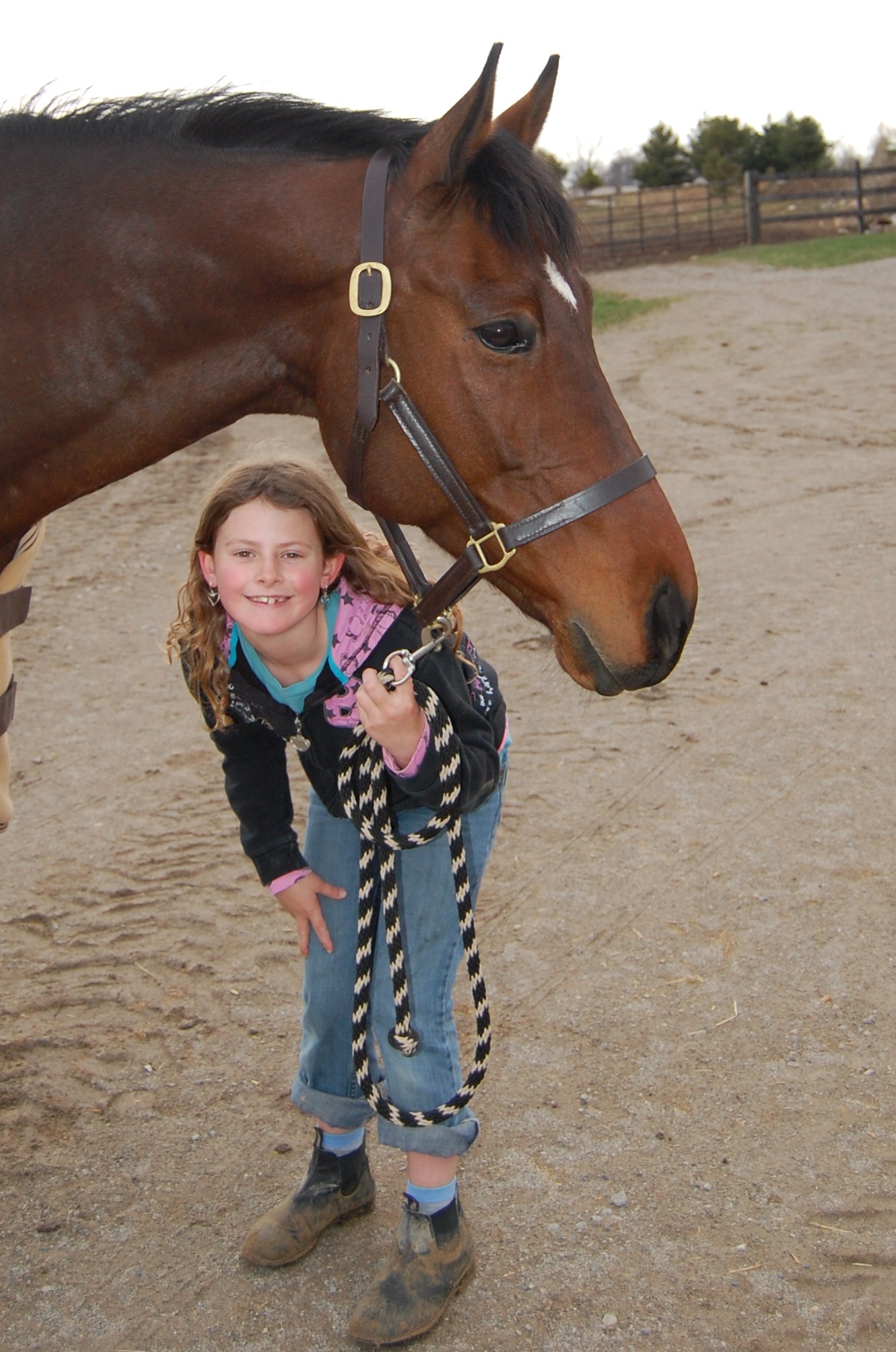 A young girl and a horse
